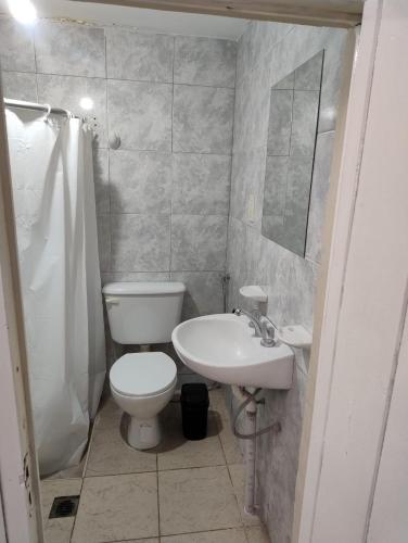 a bathroom with a toilet and a sink at Alojamiento El Centenario in San Martín