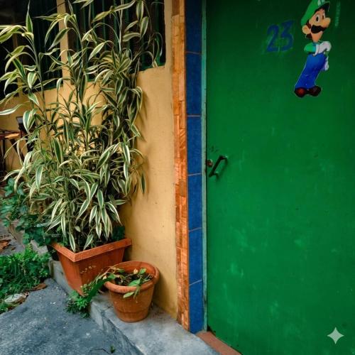 a green door with a potted plant next to a house at Apartamento en San Salvador Cuscatancingo in Cuscatancingo