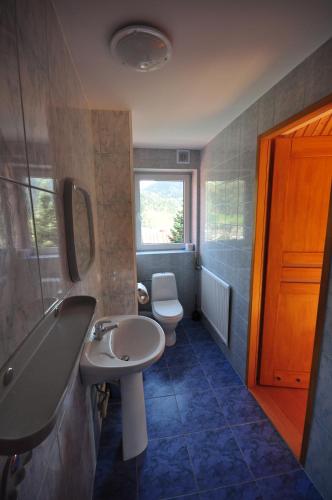 a bathroom with a sink and a toilet at Porębówka in Szczawnica