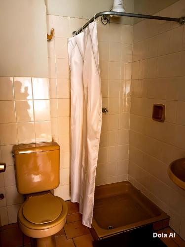 a bathroom with a toilet and a shower at Casa Betania in La Paz
