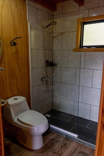 a bathroom with a toilet and a shower at Cabañas Origen Bosque y Río in Melipeuco