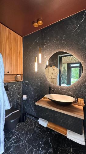 a bathroom with a sink and a mirror at Forest Chalet in Porumbacu de Sus