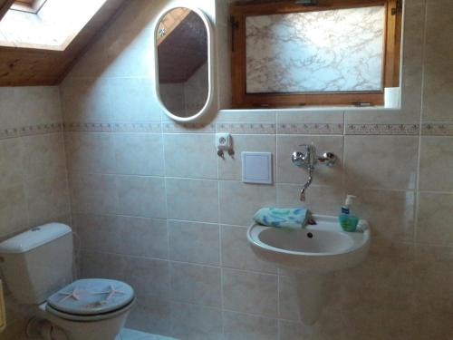 a bathroom with a sink and a toilet and a mirror at Ubytování - Černá hora in Svoboda nad Úpou