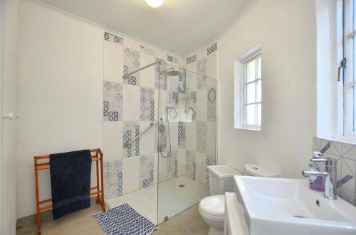 a bathroom with a shower and a toilet and a sink at 61 Lutie Katz in Yzerfontein