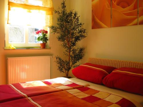 a bed with a red pillow and a plant in a room at Uns Strandhus in Kühlungsborn