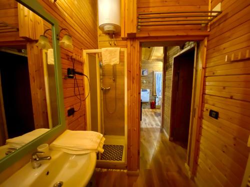 a bathroom with a sink and a shower in a cabin at Casa vacanza Chalet Baita nel Bosco in LʼAquila