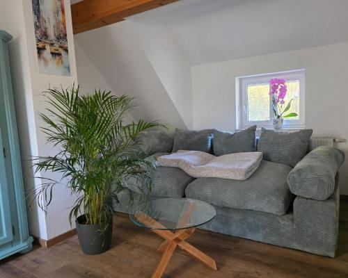 a living room with a couch and a glass table at Ferienwohnung Feenblick in Kurort Altenberg