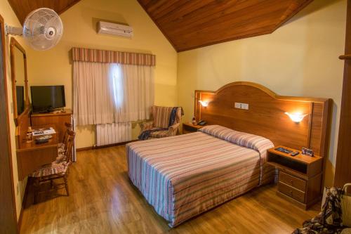 um quarto de hotel com uma cama e uma televisão em Hotel Sky Gramado em Gramado