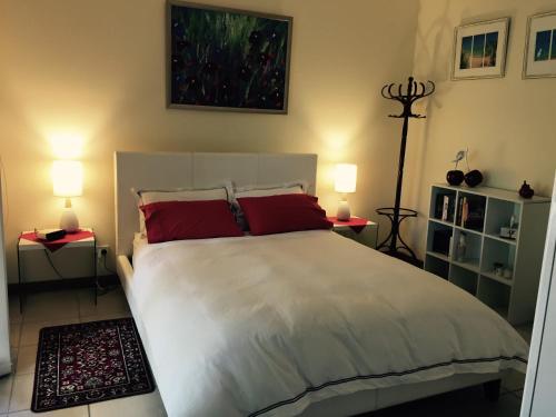 1 dormitorio con 1 cama blanca grande con almohadas rojas en Clarevale Cottage B&B, en Clare