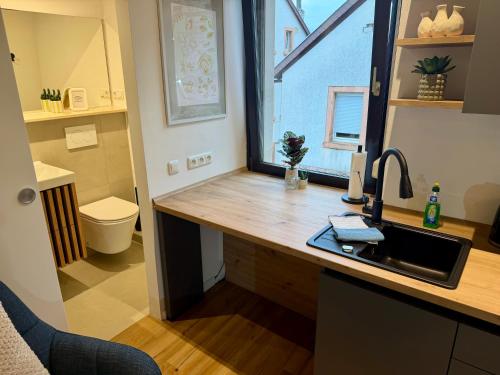a kitchen with a sink and a toilet in a room at Design Apartment Arndt in Neustadt an der Weinstrasse in Neustadt an der Weinstraße