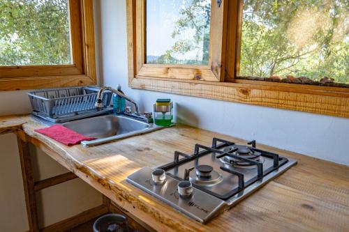 a kitchen counter with a stove and a sink at Colibri - Cabañas Puerto del Zopilote in Pinal de Amoles