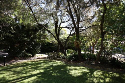 a grassy area with trees and shadows on it at Darcy's Hotel in Sydney