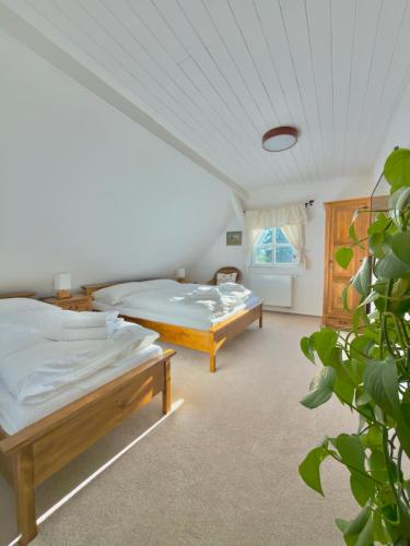 two beds in a room with a plant at Wellness Roubenka u Obory in Svratouch