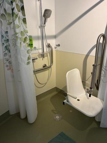 a hospital room with a toilet and a shower at Maple House Apartment in Kelso