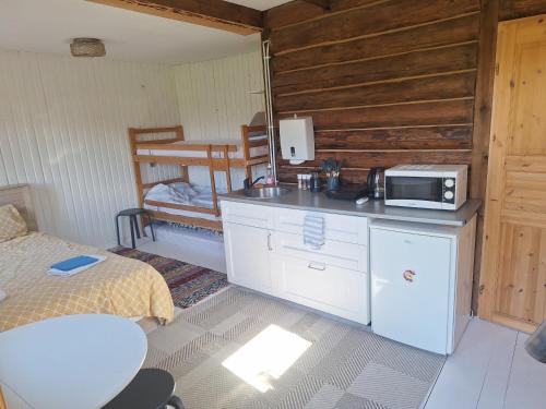 a kitchen with a microwave and a bed in a room at Karikakra Holiday in Pärnu