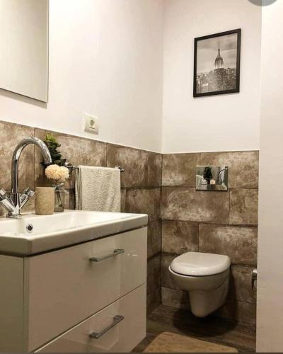 a bathroom with a sink and a toilet at Vila Francisca10 in Alba Iulia