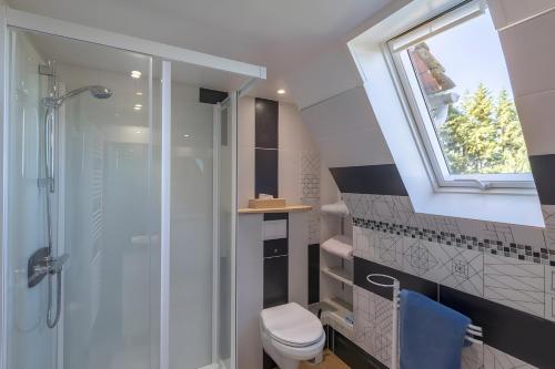 a bathroom with a shower and a toilet and a window at Gîte Les Sapins Douglas in Sansac-Veinazés