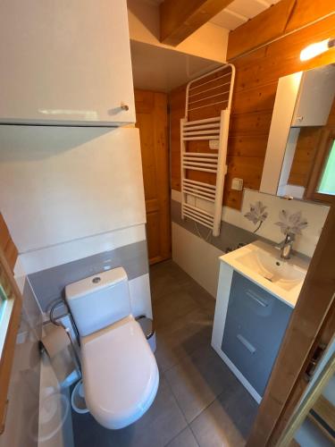 a small bathroom with a toilet and a sink at Omazot au calme dans verdure in Aix-les-Bains