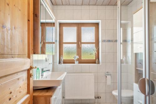 a bathroom with a sink and a toilet and a window at Fewo Enzian in Breitenberg