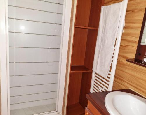 a bathroom with a shower and a sink at Parc- Camping de Coullons in Coullons