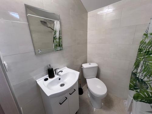 a bathroom with a toilet and a sink and a mirror at Gospodarstwo Agroturystyczne E K Szabowscy in Jeżewo