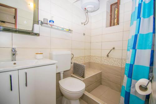 a bathroom with a toilet and a sink and a shower at Apartments Punta Blue & Orange 5 m from the sea in Punta Križa