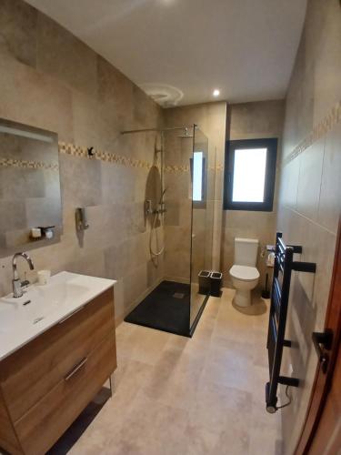 a bathroom with a shower and a sink and a toilet at Domaine La Chiusella in Monticello