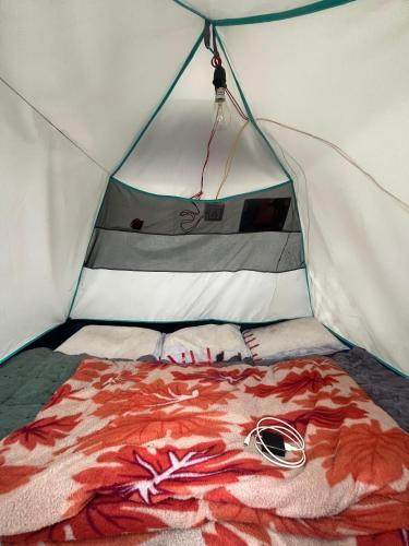 a room with a bed in a tent at The Kedar Stay in Kedārnāth
