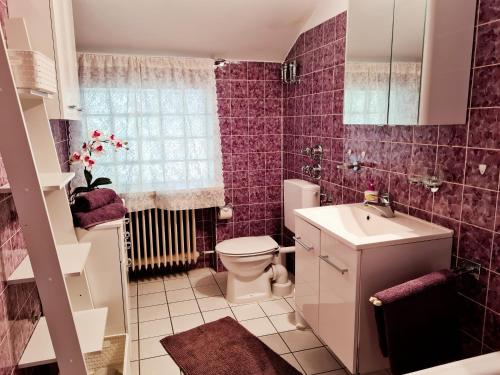 a bathroom with a toilet and a sink at Gästehaus Radlerhof in Gstadt am Chiemsee