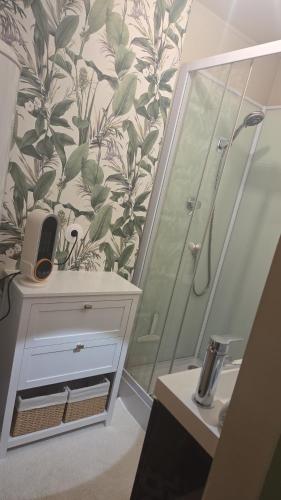 a bathroom with a shower and a sink and a mirror at Le cocoon de choupette in Cuvilly