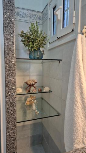 a glass shelf in a bathroom with a potted plant at Villa Anna in Skaliá