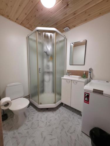 a bathroom with a shower and a toilet and a sink at Kotoisa 1 in Seinäjoki