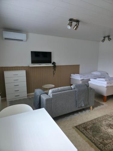 a living room with a couch and a tv at Kotoisa 1 in Seinäjoki