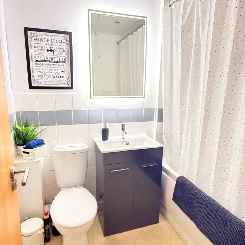 a bathroom with a toilet and a sink and a mirror at The Forgate exchange in Worcester