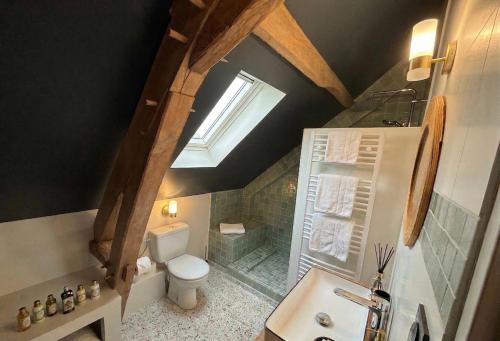 a bathroom with a toilet and a shower and a sink at 9 La Roche La Bergerie in Saint-Plantaire