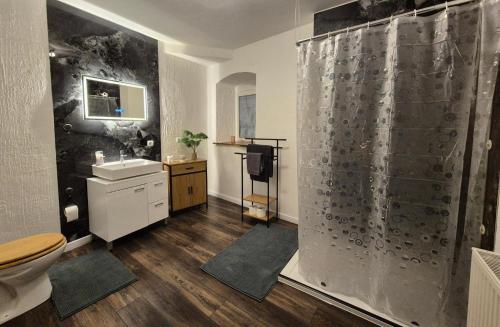 a bathroom with a shower and a toilet and a sink at Ferienwohnung 1890 in Dettelbach