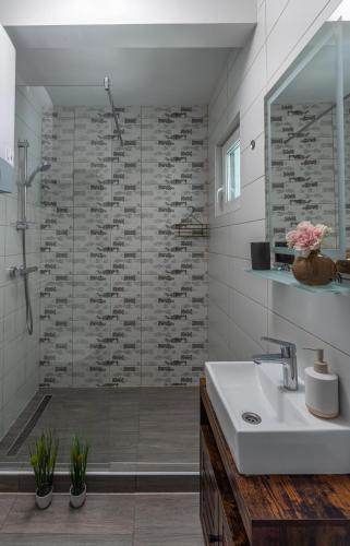 a bathroom with a shower and a sink at Sukorose Jacuzzis Vendégház in Sukoró