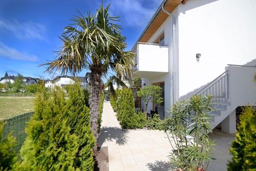 a palm tree in front of a white house at Chmielowa2 - Apartamenty in Rowy