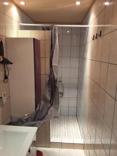 a shower with a shower curtain in a bathroom at Le petit nid in Brugelette