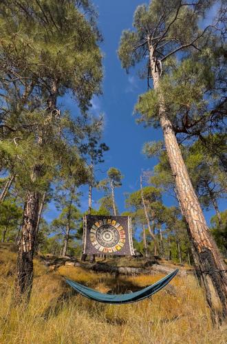 a hammock in a field between two trees at Tent-It India Experiences in Mukteshwar