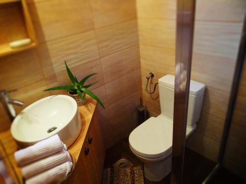 a bathroom with a sink and a toilet and a plant at Holiday Home Milica in Kolašin
