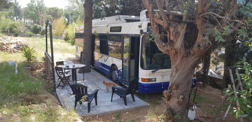 a bus parked next to a table and a dog at Bus aménagé in Millas