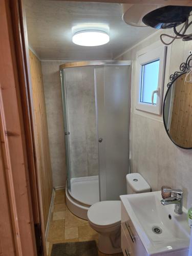 a bathroom with a shower and a toilet and a sink at Dobra Miejscówka Domki nad Jeziorem Solińskim Jacuzzi 60 m od plaży 504-978-418 in Zawóz