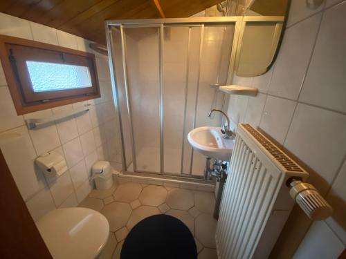a bathroom with a shower and a toilet and a sink at Gasthaus Goa in Ernsthausen
