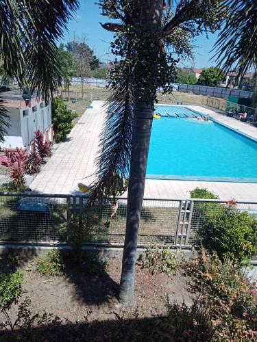 a palm tree next to a swimming pool at Spacious Studio unit beside Enchanted Kingdom at Santa Rosa City Laguna in Santa Rosa