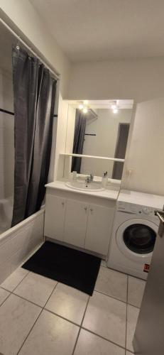 a bathroom with a sink and a washing machine at Appartement T2 lac Léman in Publier
