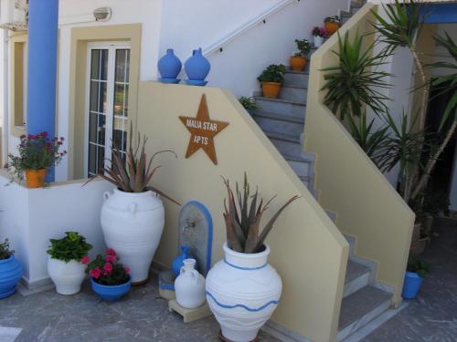 Gallery image of Malia Star Apartments in Malia