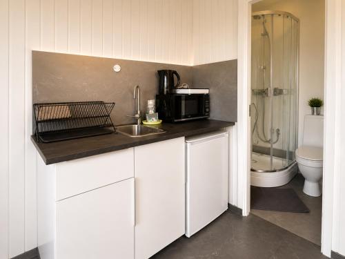 a kitchen with a microwave and a sink and a toilet at Arhus Cottage and Camping in Hella