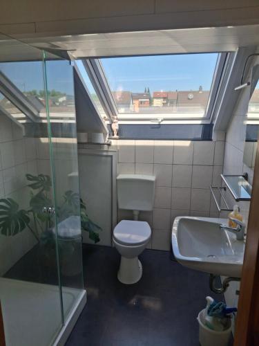 a bathroom with a toilet and a sink and a window at Haus Tanja in Neckarbischofsheim