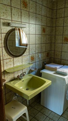 a bathroom with a green sink and a mirror at Appartement Wurm- nahe Hochzillertal für Familien in Kaltenbach